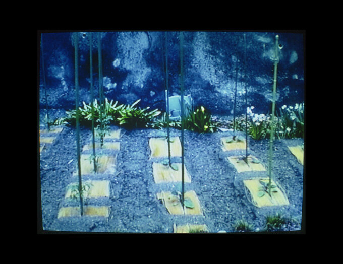 HIROSHIMA de Philippe Bertin – Image 8