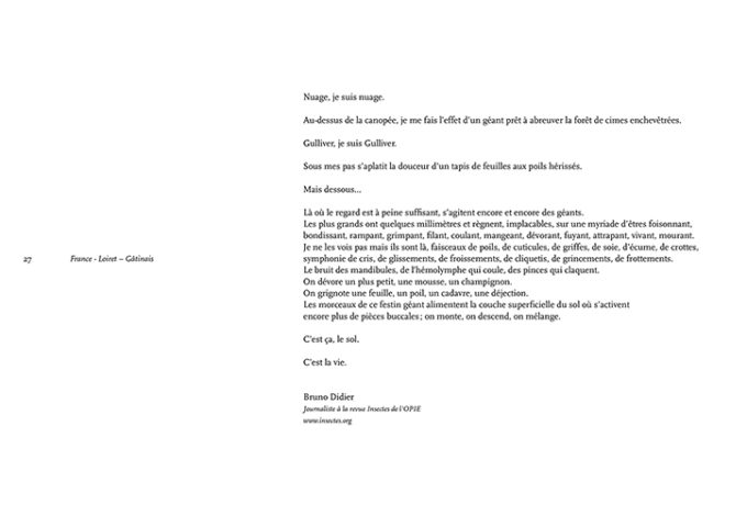JOUE CONTRE TERRE d'Arnaud Vareille – Image 11