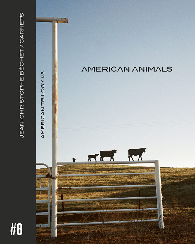 Carnet #8_AMERICAN ANIMALS [American Trilogy 1/3] de Jean-Christophe Béchet