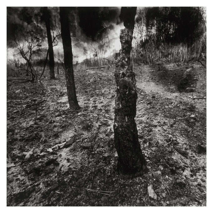 IN MEMORIAM de Stefania Beretta – Image 2