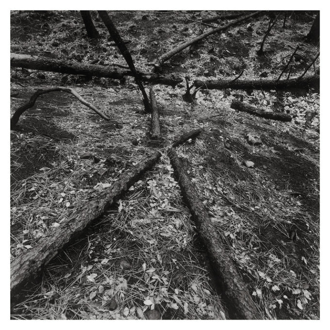 IN MEMORIAM de Stefania Beretta – Image 5