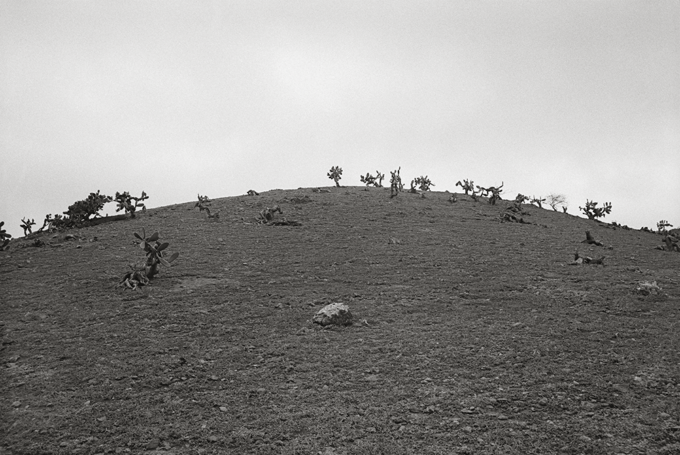 Sainte-Hélène. Atlantique-Sud. De Marcel Fortini – Image 2